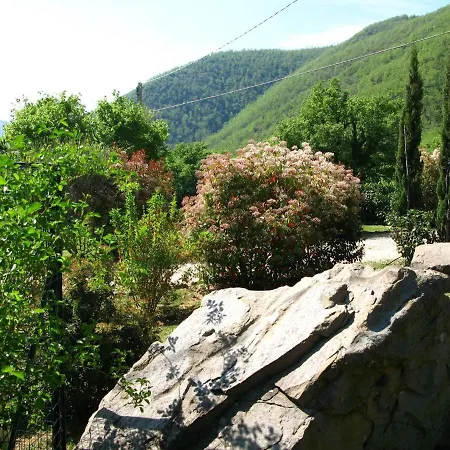 Cuiano Pierle